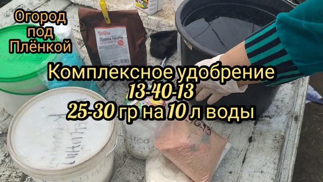 Так мы подкармливаем рассаду томатов много лет смотреть онлайн