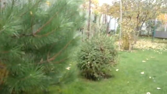 Мои уютные дворик и сад осенью смотреть онлайн