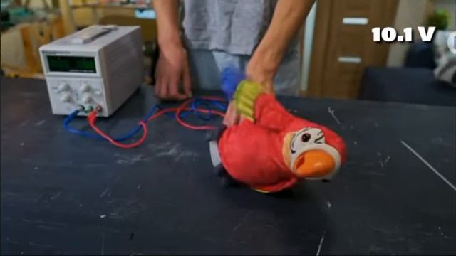 Вот им смешно а у попугая инсульт смотреть онлайн