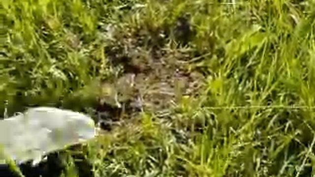 поиск МИ терра-н монеты в поле инструкция.mp4 смотреть онлайн