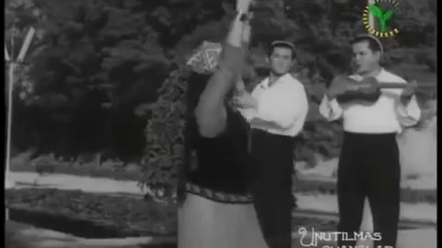 Tavakkal Qodirov: O'xshaydiku