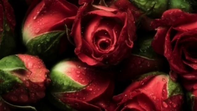 Спокойной ночи Любимая смотреть онлайн