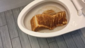 Will it Flush? - Loaf of Bread