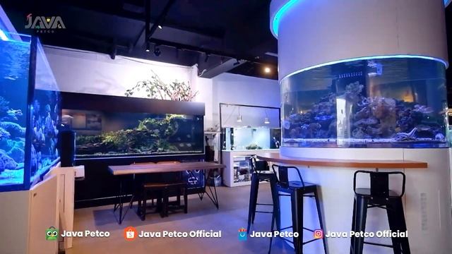PET CENTER TERLENGKAP! - JAVA PETCO JAKARTA SELATAN смотреть онлайн