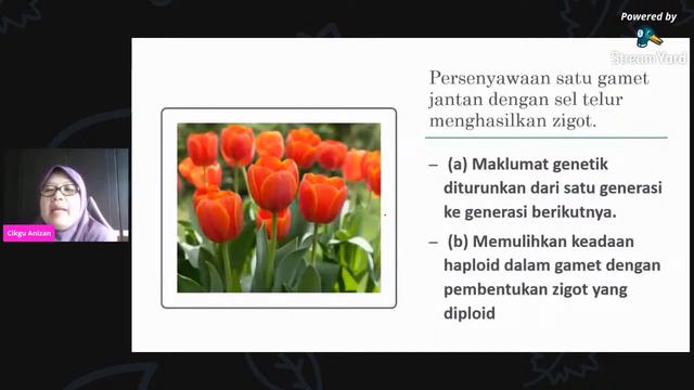 [LIVE] BAB 6: PEMBIAKAN SEKS DALAM TUMBUHAN BERBUNGA смотреть онлайн