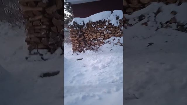 зимнее содержание кота😂 смотреть онлайн