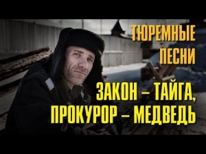 ЗАКОН - ТАЙГА, ПРОКУРОР - МЕДВЕДЬ | ТЮРЕМНЫЕ ПЕСНИ