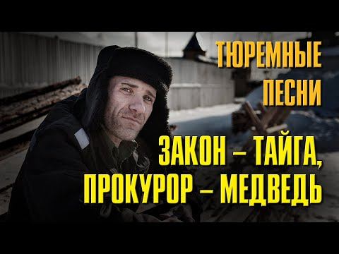 ЗАКОН - ТАЙГА, ПРОКУРОР - МЕДВЕДЬ | ТЮРЕМНЫЕ ПЕСНИ