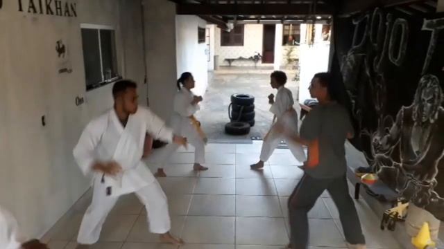 #Shotokan #karate #selfdefense Diário de Treino 4 смотреть онлайн