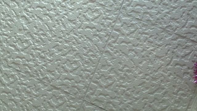 Крысы играют смотреть онлайн