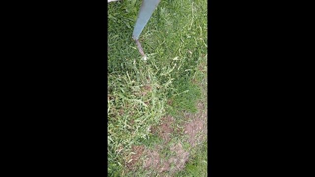 Сажаю лук - на ЛукУ./ Година мамы смотреть онлайн