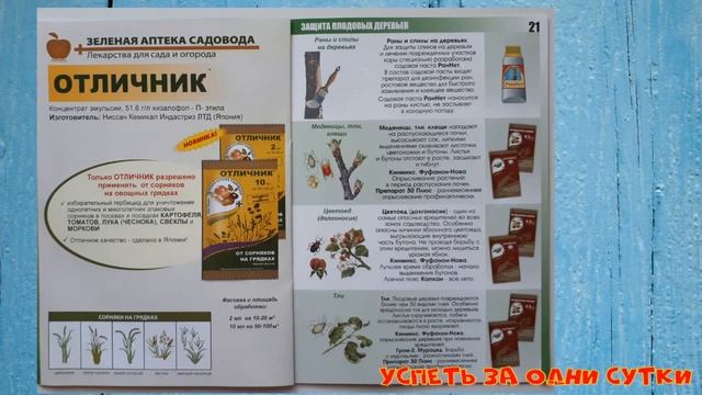 24.02.2020 Зелёная аптека садовода ? или как избавиться от вредителей ?. смотреть онлайн