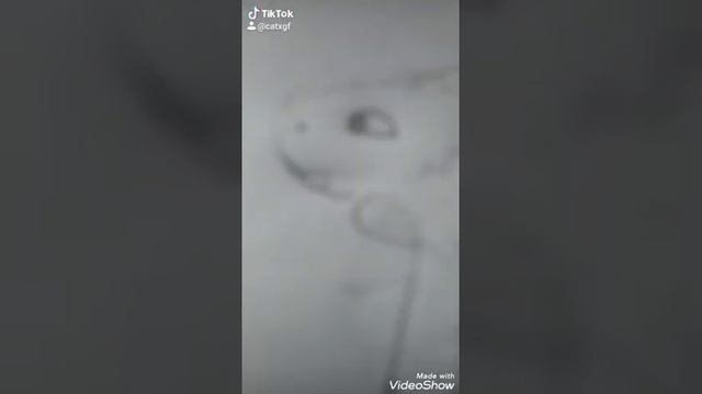 коты воители, клип,больно не больно не больно страшно не страшно•••