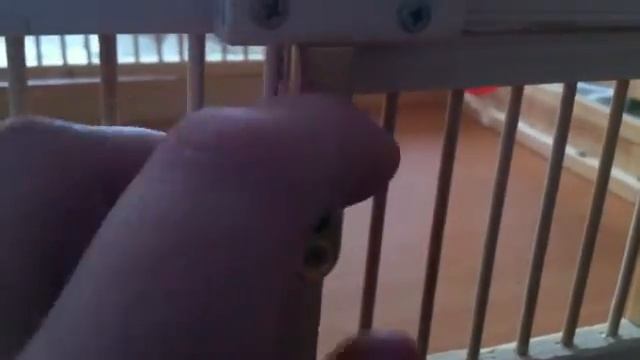 клетка для попугая своими руками ч. 19 смотреть онлайн