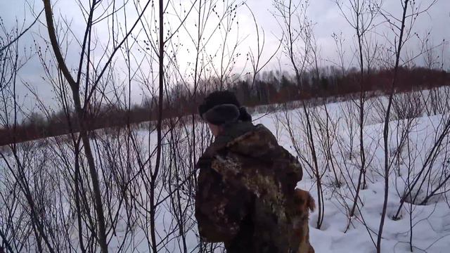 Поход за ВЕРБОЙ, а там рассказы о МЕДВЕДЯХ. Будни Олега. смотреть онлайн