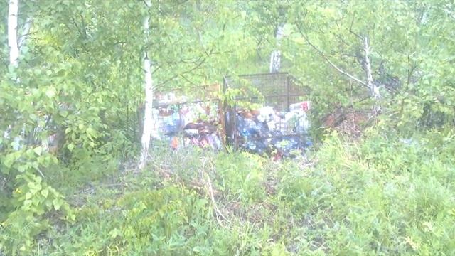 Часть пропавших контейнеров для пластика нашлась смотреть онлайн