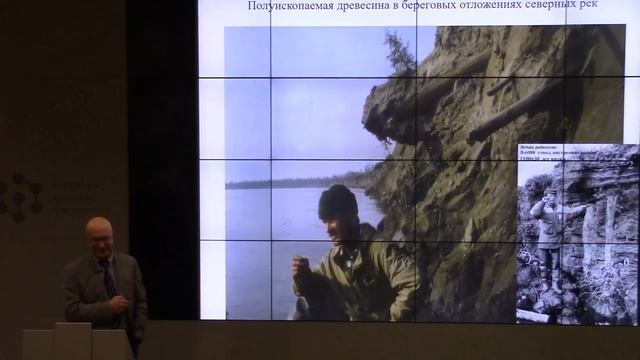 Деревья как природные летописцы, Ваганов Е. А., профессор, доктор биологических наук смотреть онлайн