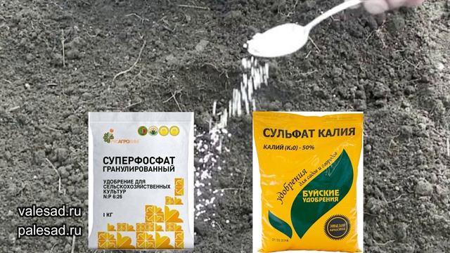 ПОСАДКА ТОМАТОВ. ПОЛОЖИТЕ ЭТО в ЛУНКУ при ПОСАДКЕ ТОМАТОВ в грунт! смотреть онлайн