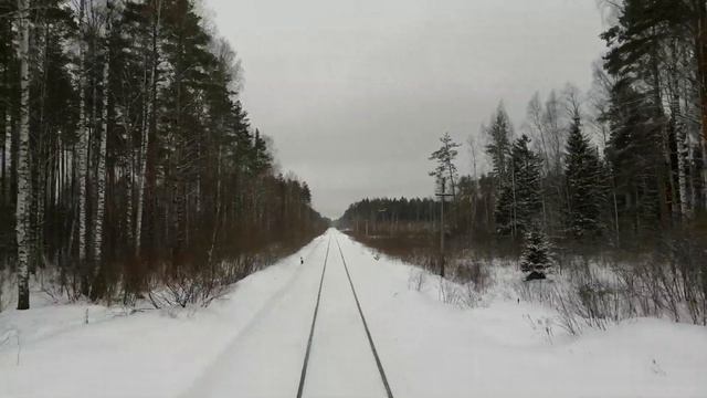 Вид из окна поезда - Мещера (Владимирская область) смотреть онлайн