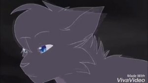 Коты воители клип ну и что что я псих