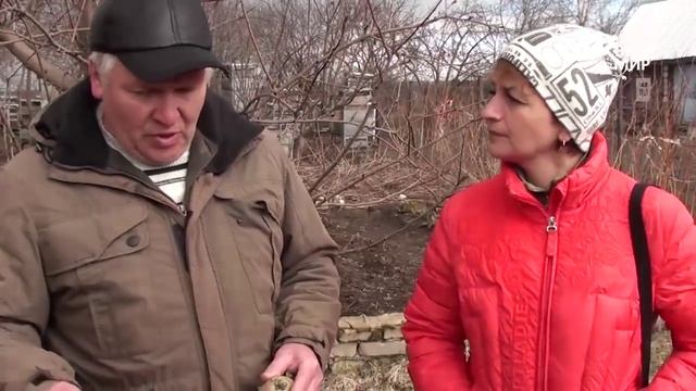 Как выращивать картофель. Часть 3 Посадка и уход. Сайт "Садовый мир" смотреть онлайн