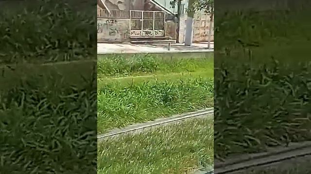 Район Палио Фалиро.Афины смотреть онлайн