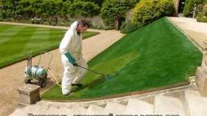 Гидропосев газона: описание, технология