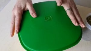 Как прорастить маш в Термосервирователе