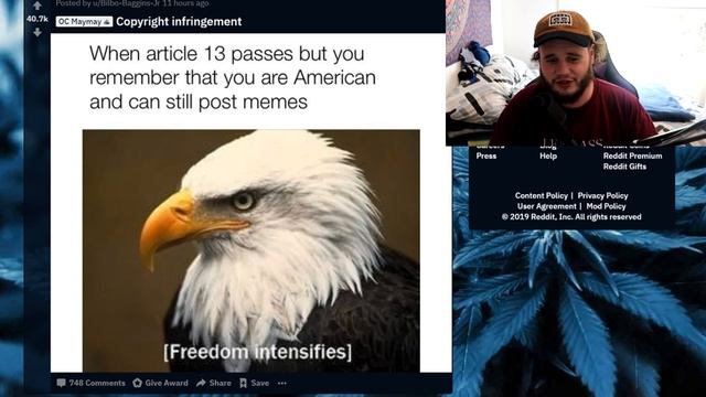 Article 13 Memes смотреть онлайн