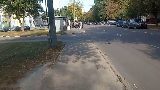 Прогулка по городу. #цветы#отдых смотреть онлайн