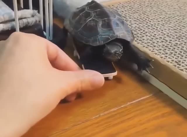 Спиди-гонщик смотреть онлайн