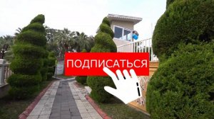 Отель ЛИНДА Linda Resort Hotel 5 звезд Турция КУДА ЛЮБЯТ ПРИЕЗЖАТЬ РУССКИЕ ТУРИСТЫ январь 2021 | 18