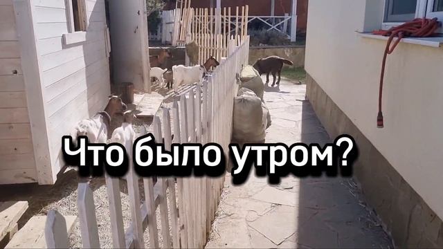 Мастерство в Деле