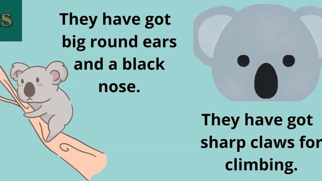 Koalas #EnglishStream смотреть онлайн