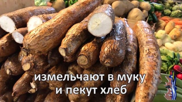 Что купить в Испании: необычные овощи смотреть онлайн