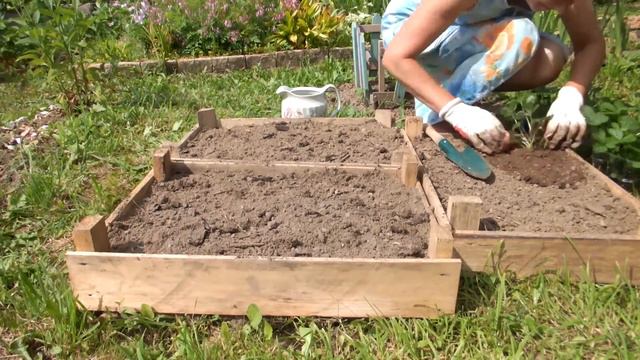 Временная грядка для земляники,экзотический цветок. смотреть онлайн