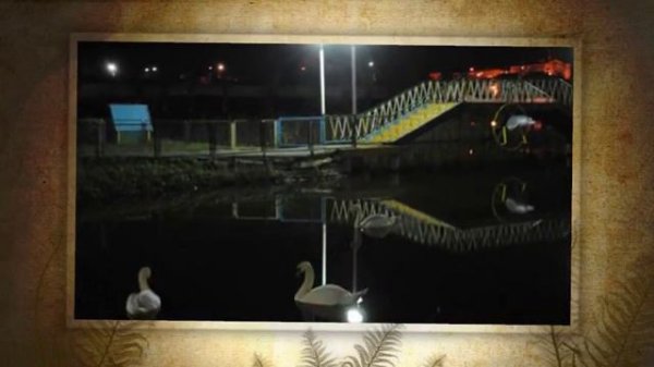 gorod-moy-alekseevka_(videomega.ru).mp4