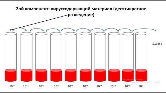 Цветная проба для определения титра вируса смотреть онлайн