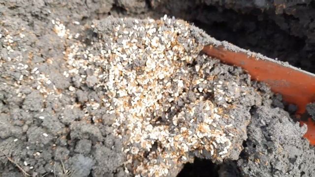 Творческий Путь к Успеху