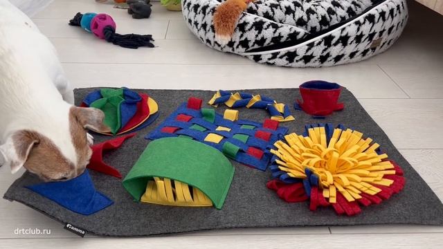 НЮХАТЕЛЬНЫЙ КОВРИК для собак. Тренировка нюха и мозговой активности смотреть онлайн