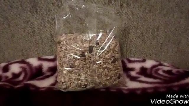 Обзор на корм Хрум Хрум. Наш новый корм! смотреть онлайн