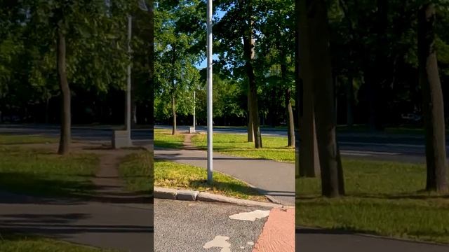 Велопрогулка по городу / Cycling around the city смотреть онлайн