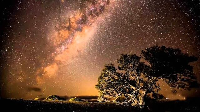 Как сделать гипноз на ТЕЛЬЦА смотреть онлайн