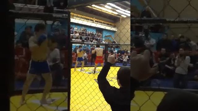 Кубок Москвы по Панкратион смотреть онлайн