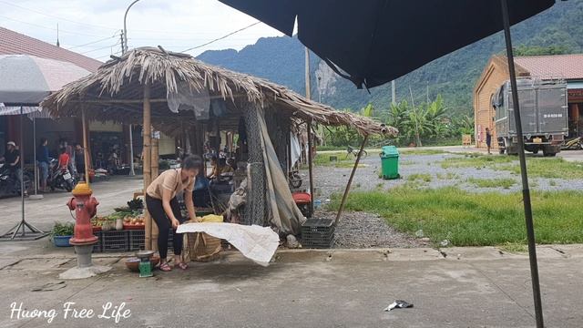 Harvesting sweet star fruit, bamboo shoots to the market to sell Huong free life смотреть онлайн