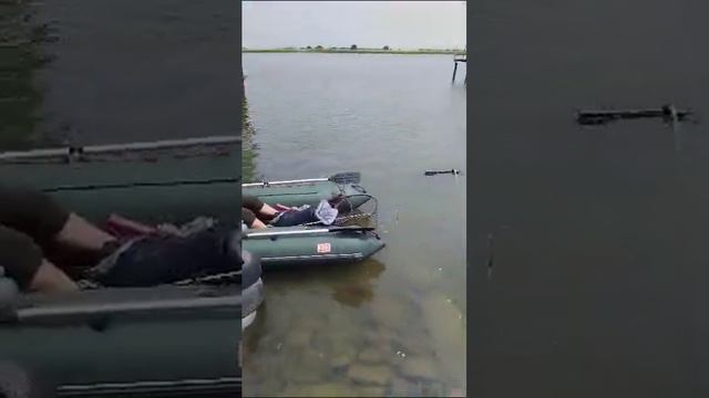 #рыбалка#дача#река#дон#сазан#станица смотреть онлайн