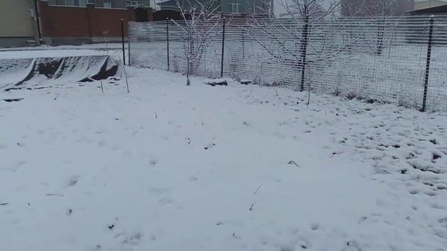 Всё готово к строительству дома из сип панелей Ессентуки. смотреть онлайн