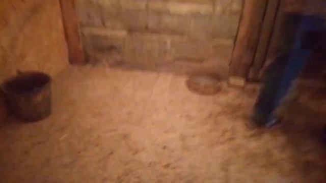 Затарились комбикормом и приобрели овец смотреть онлайн