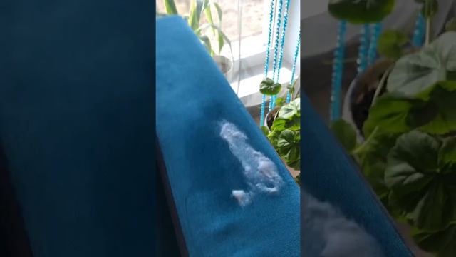Супер-средство от пятен на мебели смотреть онлайн