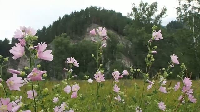 Природа республики Башкортостан // Nature Of Bashkiria